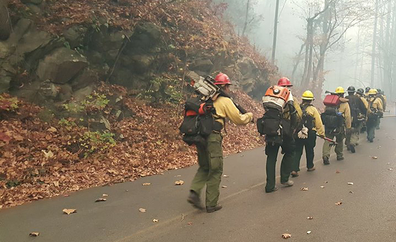 Firefighters walking up a mountain road