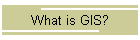 What is GIS?