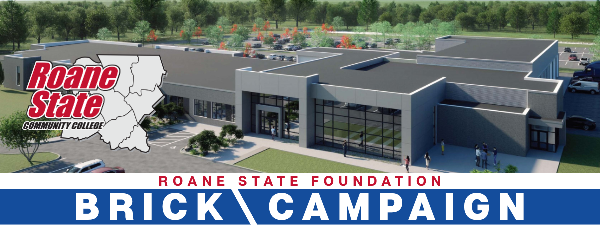 Brick-by-Brick Campaign Header