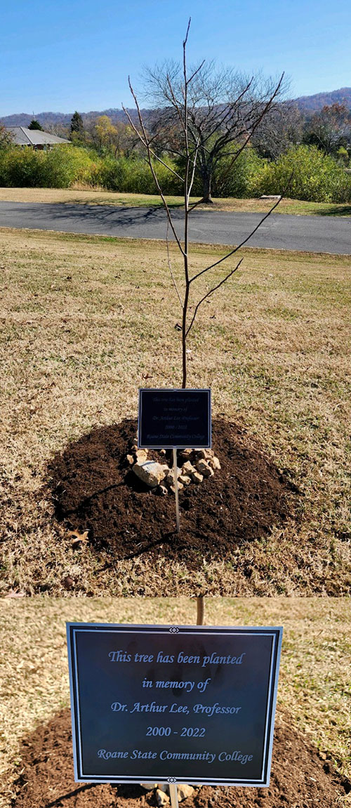 The upper image is a young, planted tree with a metal sign. The lower image is the metal sign that says "This tree has been planted in memory of Dr. Arthur Lee, Professor. 2000-2022 Roane State Community College.""