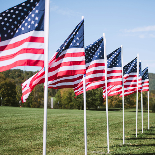 A row of American flags on display at a college campus.