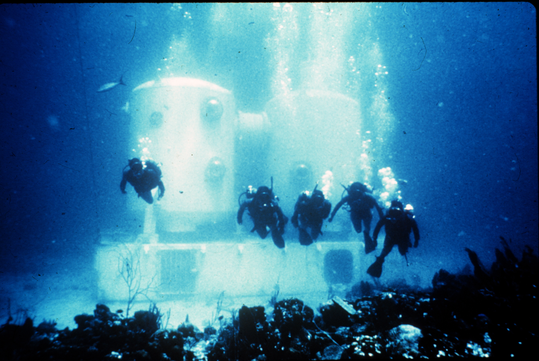 Caption: Aquanauts exit Tektite I in 1969. The Tektite program was the first nationally sponsored effort to place scientists in the sea to live. The program will be one of the subjects discussed during the first episode of Classroom Under the Sea on Thursday, Oct. 9 at 1 p.m. EDT. Viewers can watch at roanestate.edu/classroomunderthesea or on youtube.com/classroomunderthesea. Photograph courtesy of the National Oceanic and Atmospheric Administration/Department of Commerce.