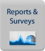Reports and Surveys